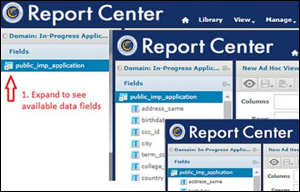 screenshot of in-progress application in CCCApply Report Center 